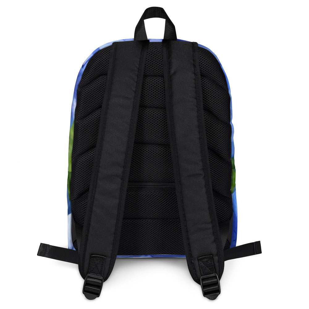 Indigo Backpack