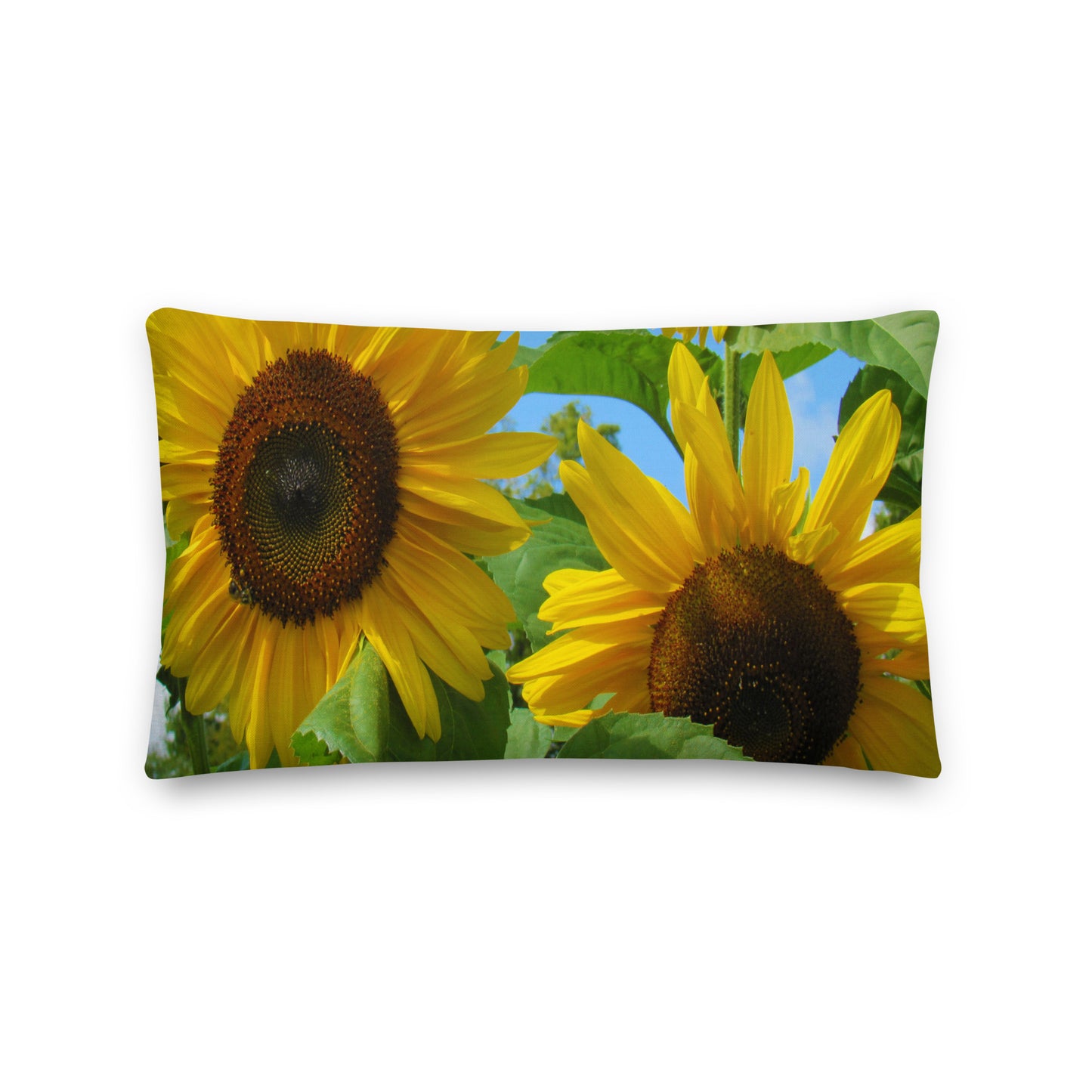 Sun Seekers Premium Pillow
