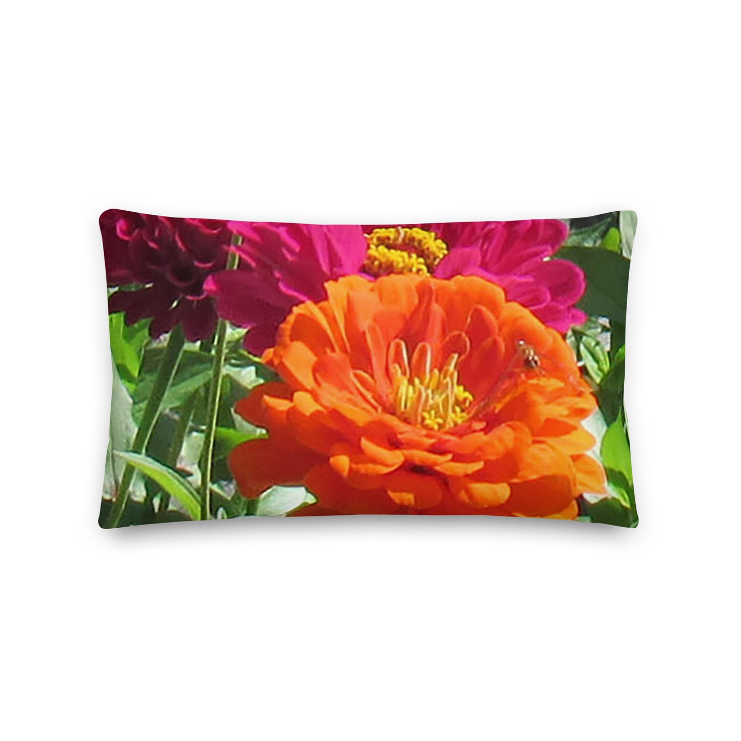 Zany Zin Premium Pillow