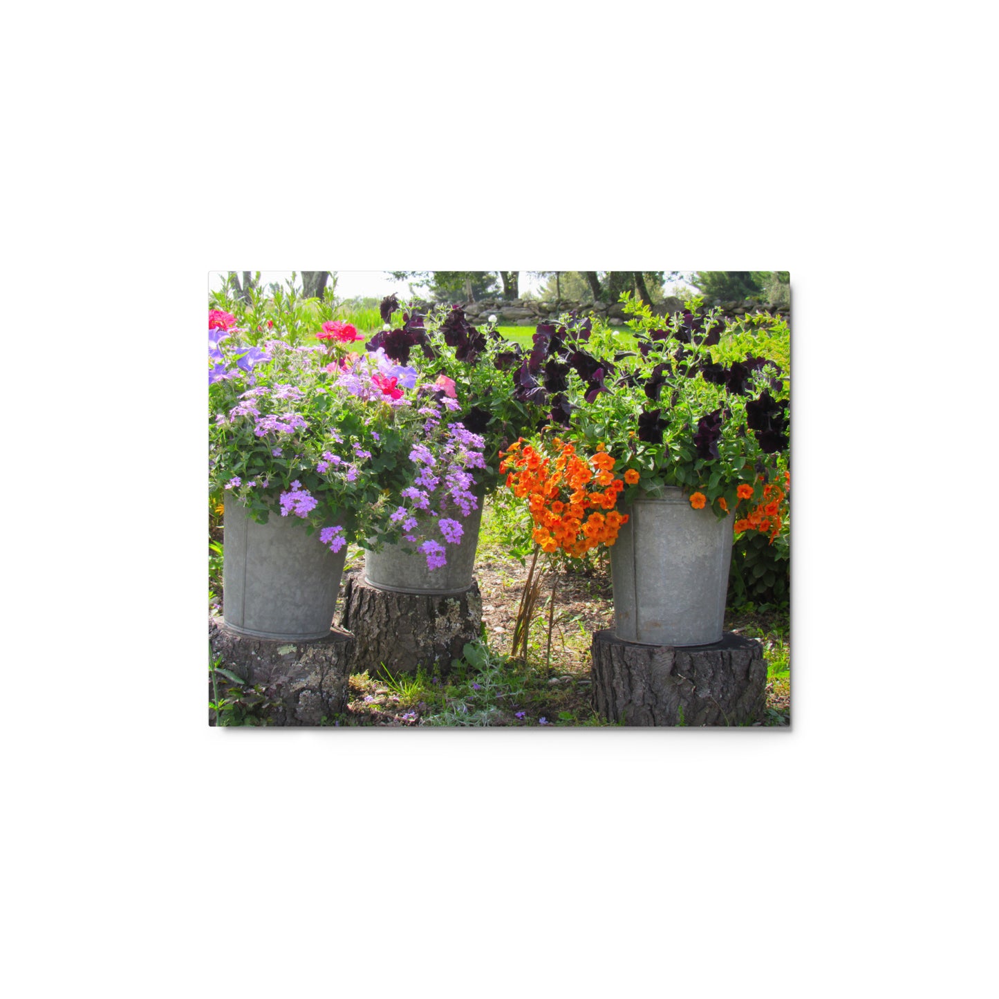 Three Sisters Metal Print