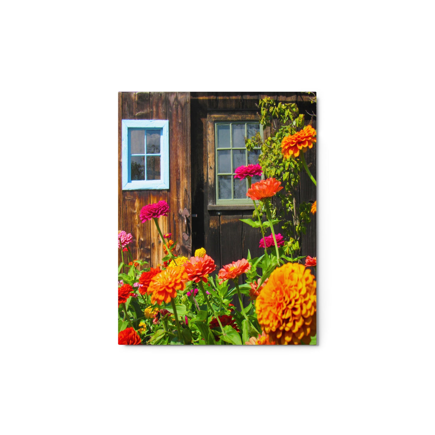 Whimsical Garden Metal Print