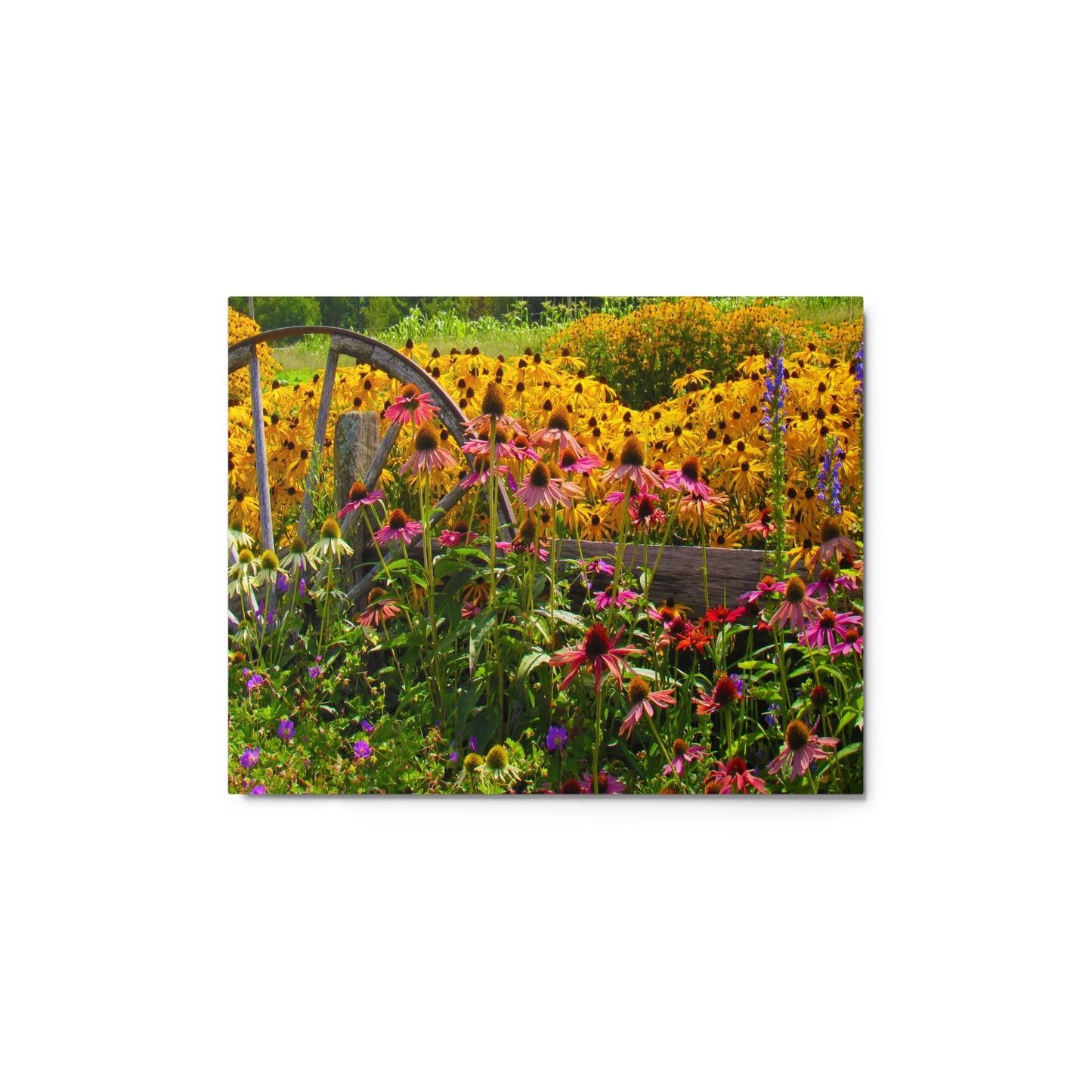 Breath-of-Fresh-Air Metal Print