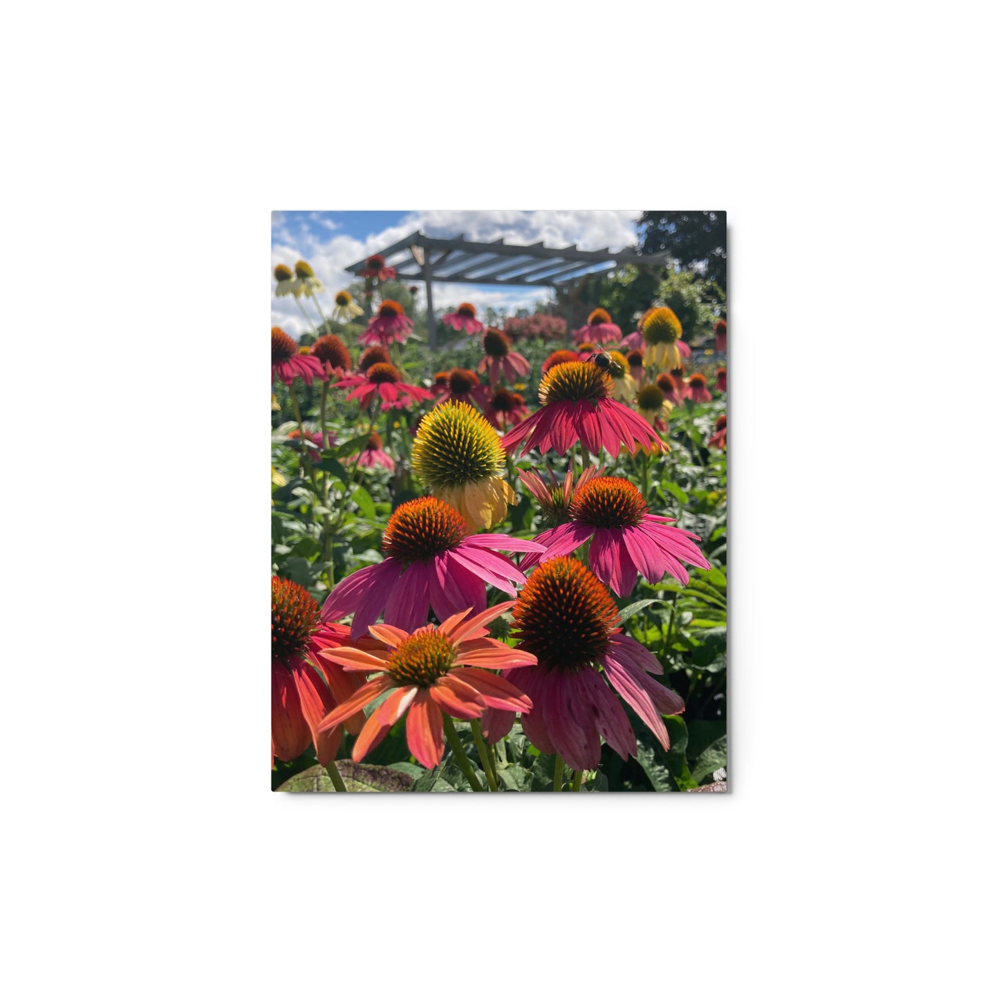 Unforgettable Metal Print