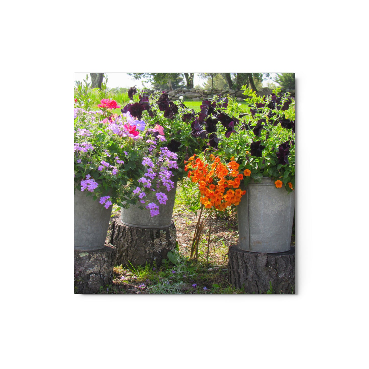 Three Sisters Metal Print