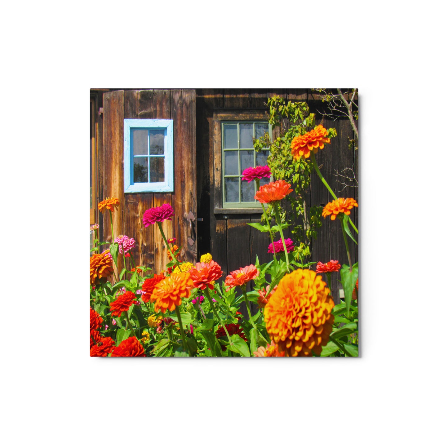 Whimsical Garden Metal Print