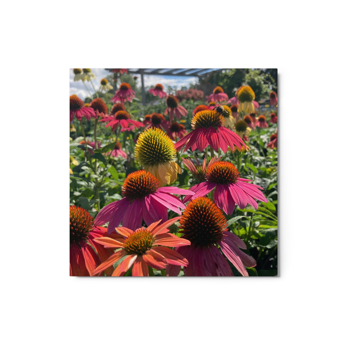 Unforgettable Metal Print