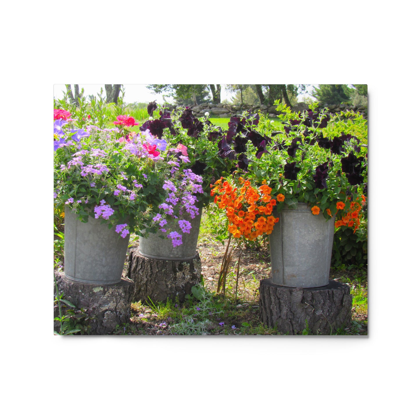 Three Sisters Metal Print
