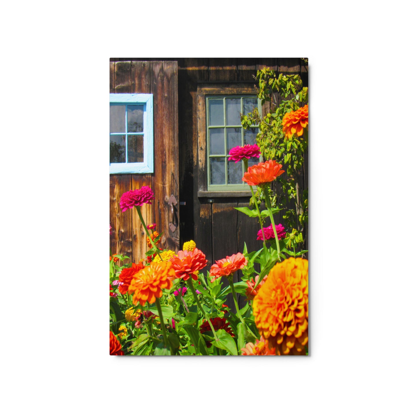 Whimsical Garden Metal Print