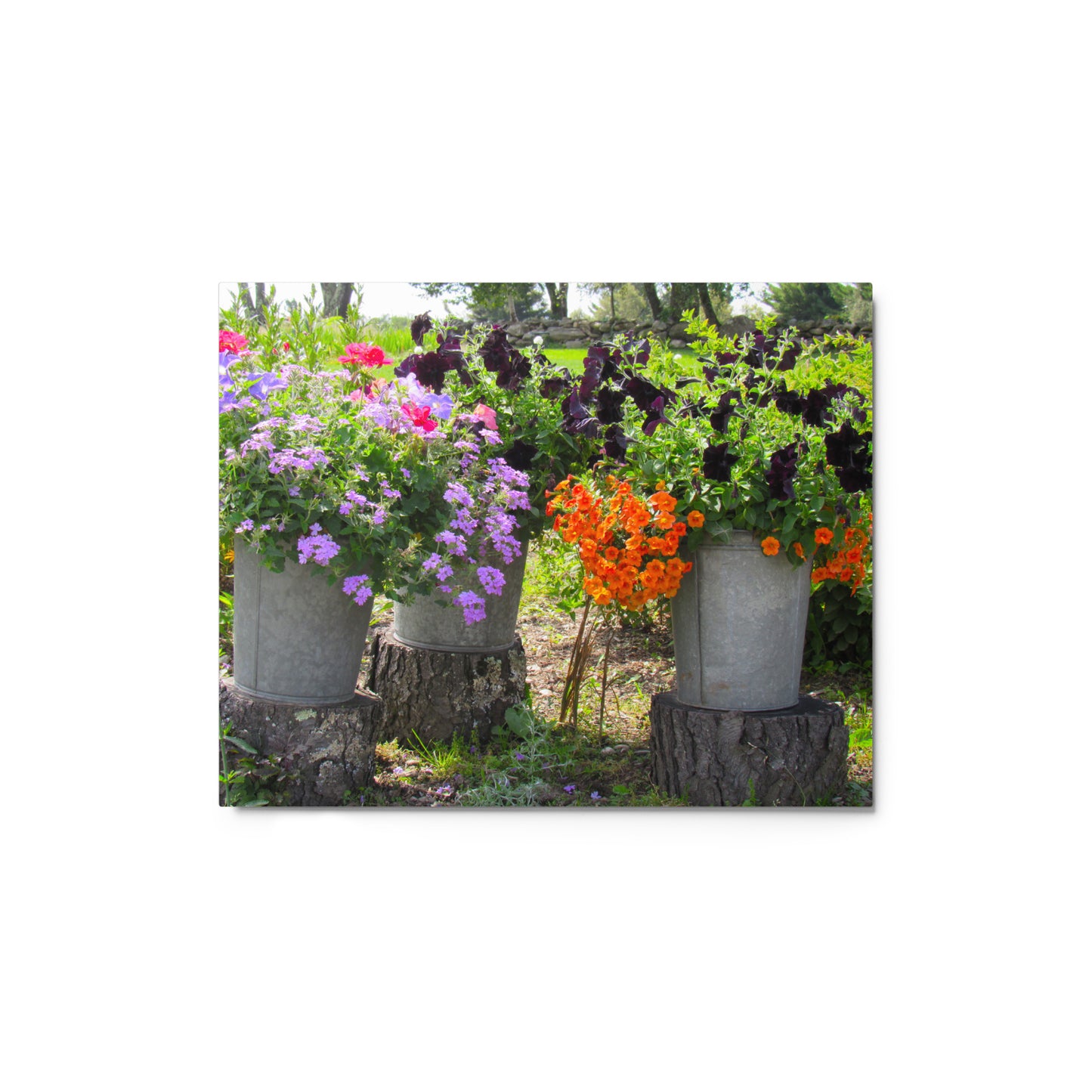 Three Sisters Metal Print