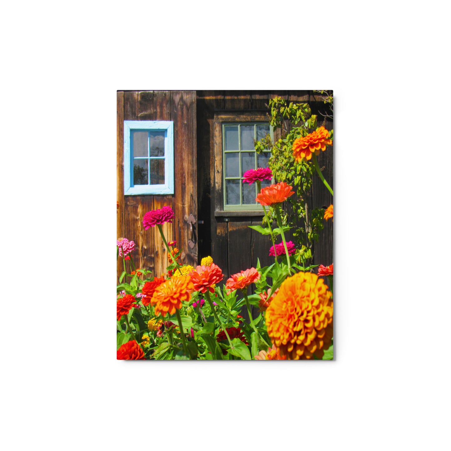 Whimsical Garden Metal Print