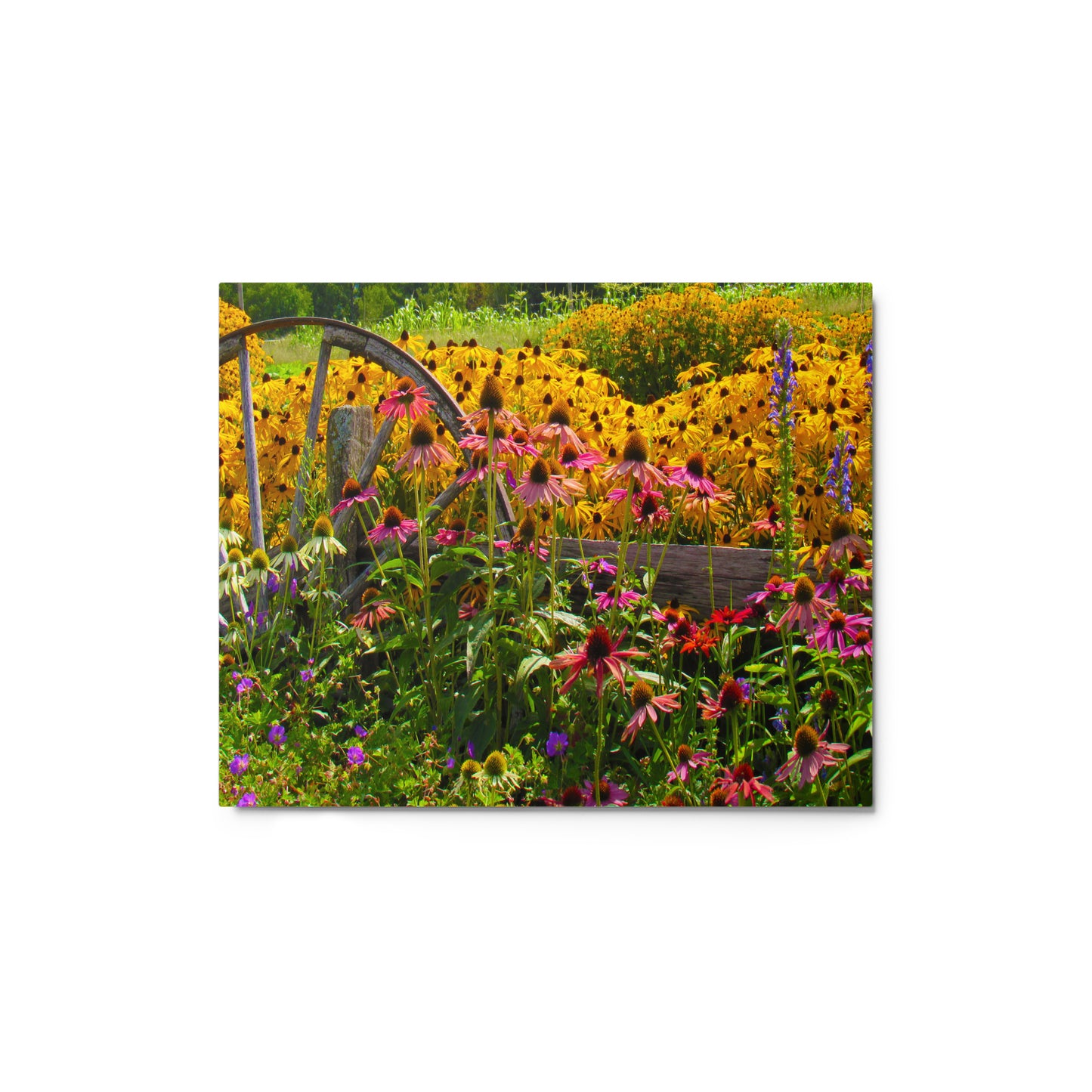 Breath-of-Fresh-Air Metal Print