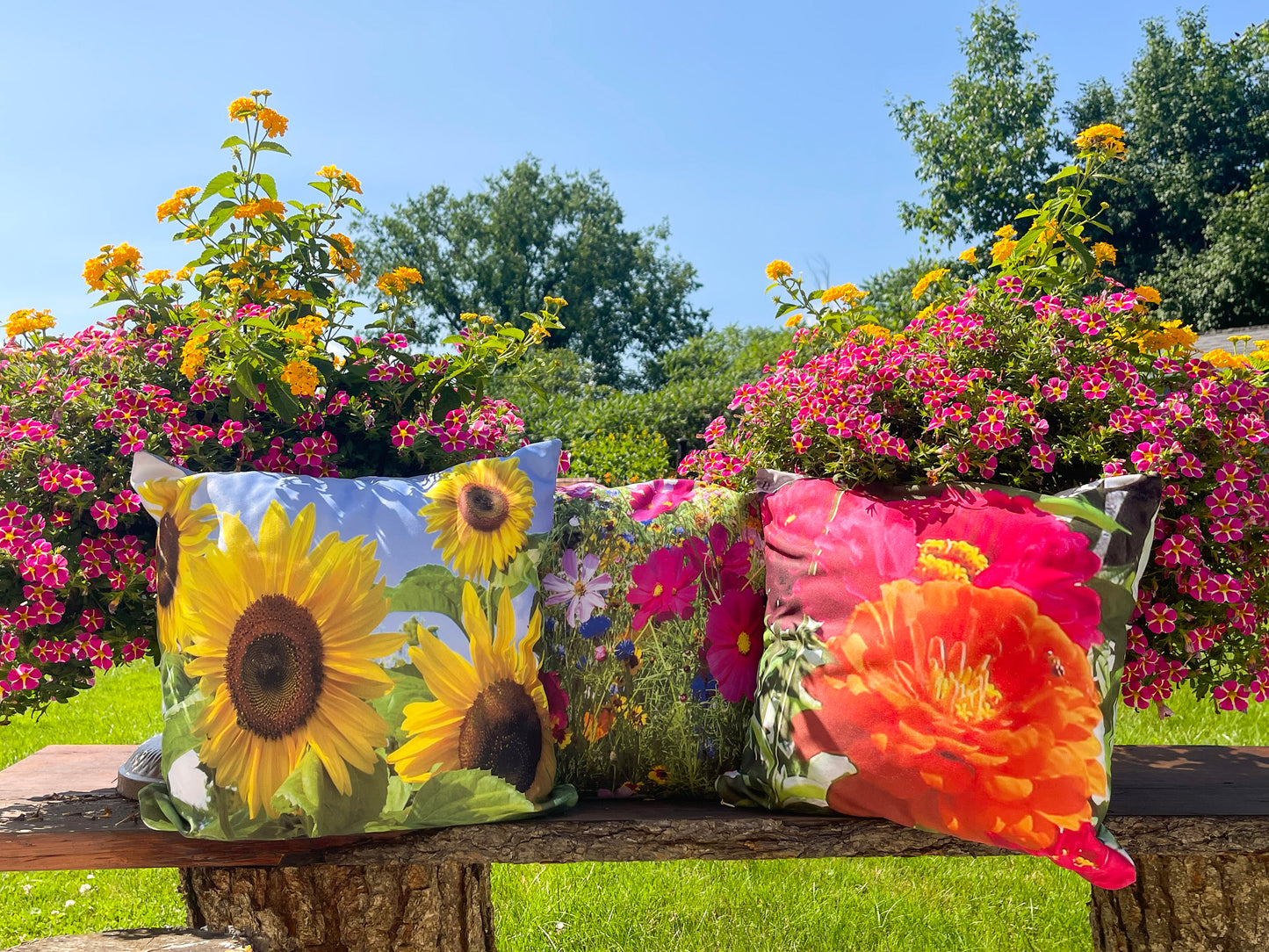 RazzMTazz Premium Pillow
