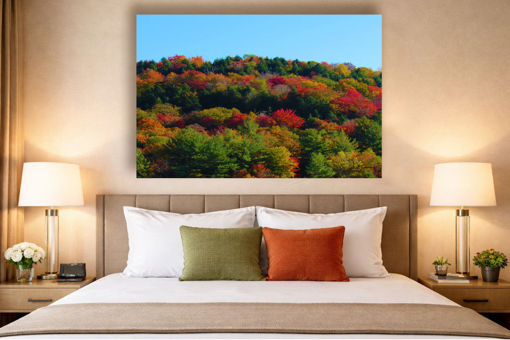 Nature's Graffiti Metal Print