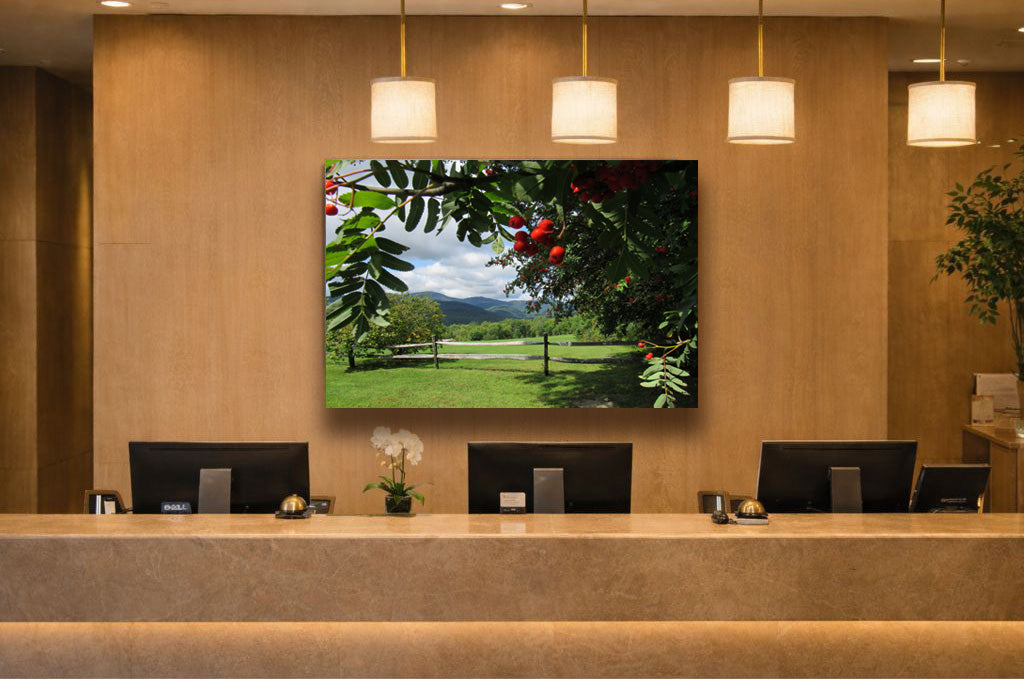 Peeking Through Metal Print
