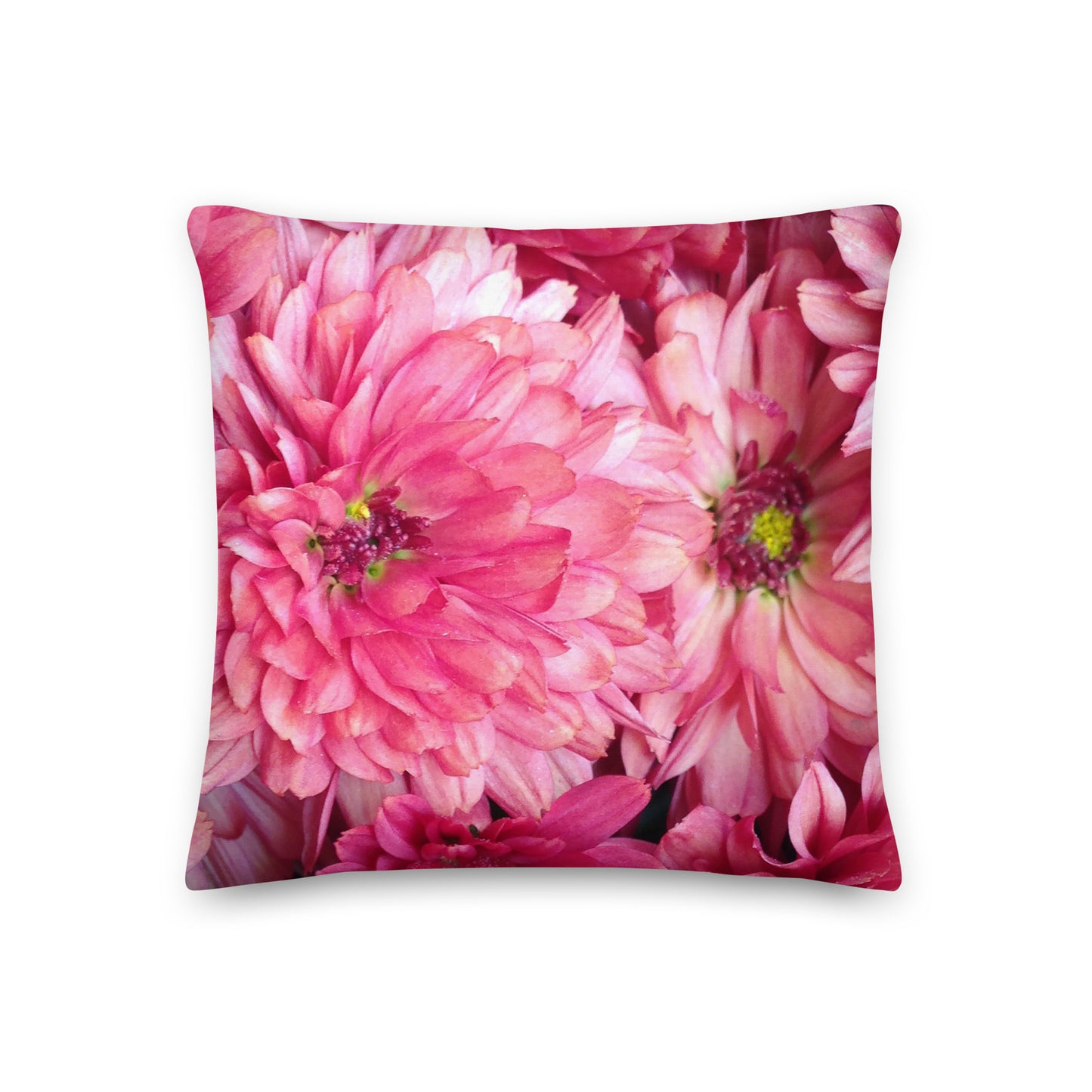 Pretty in Pink Premium Pillow