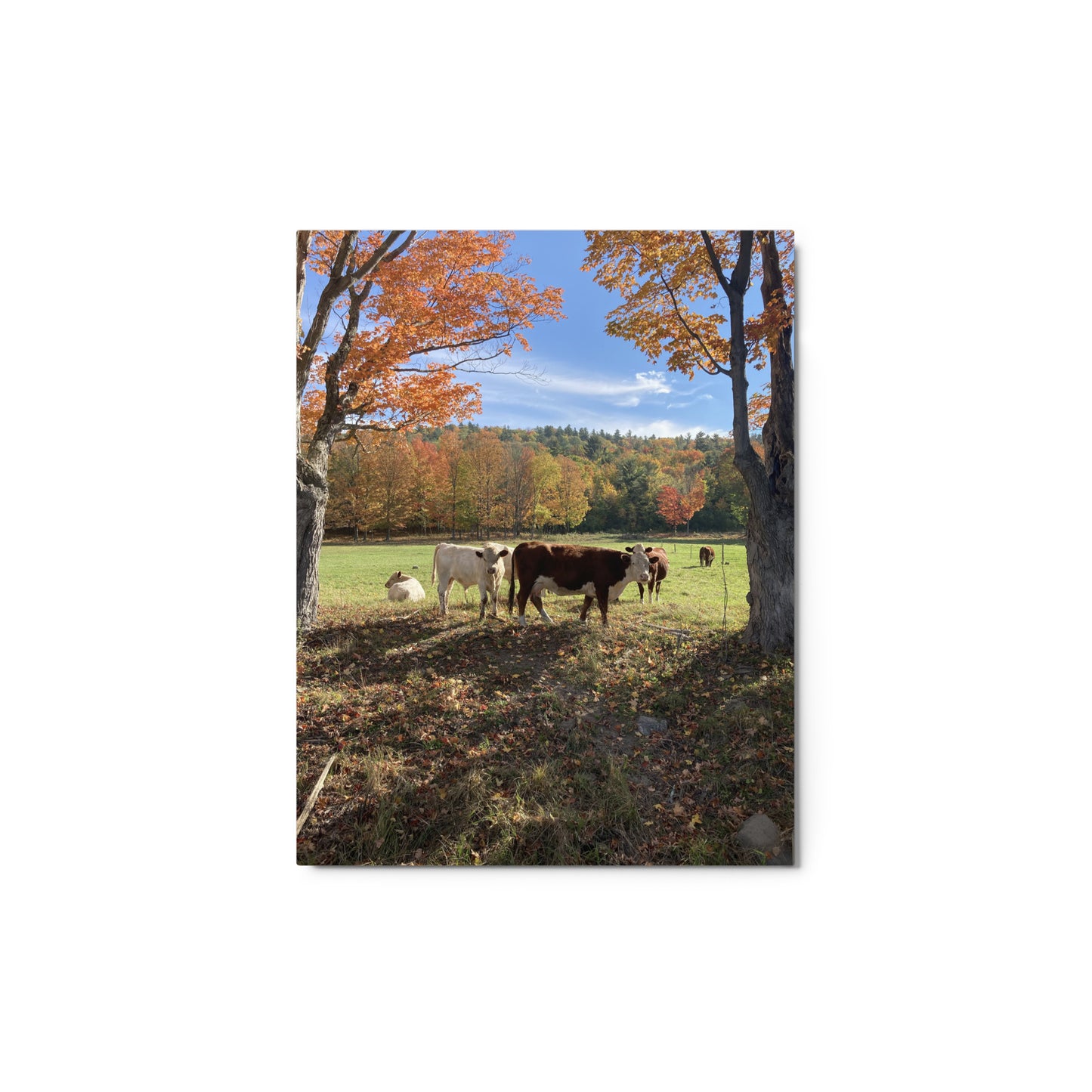 Autumn Day Metal Print