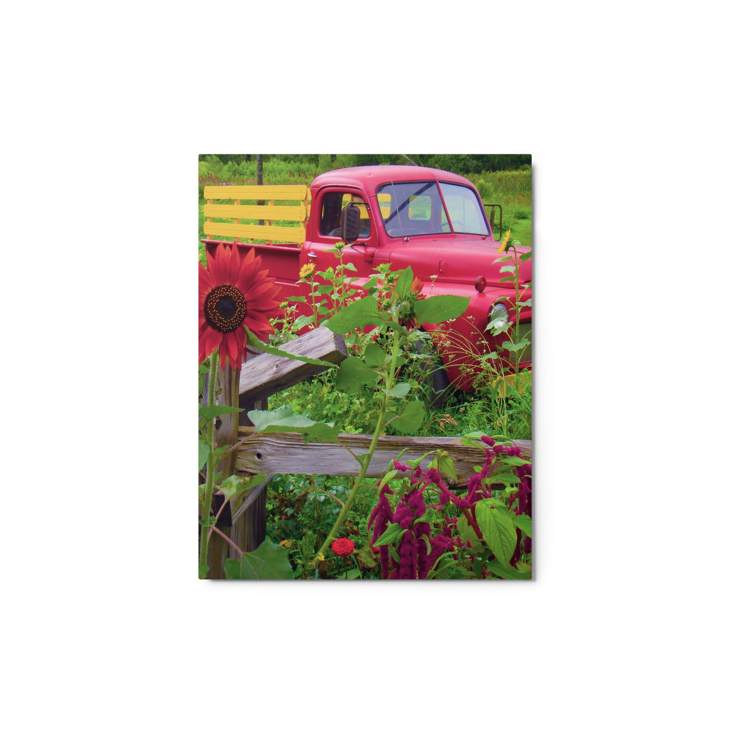 Little Red Truck Metal Print