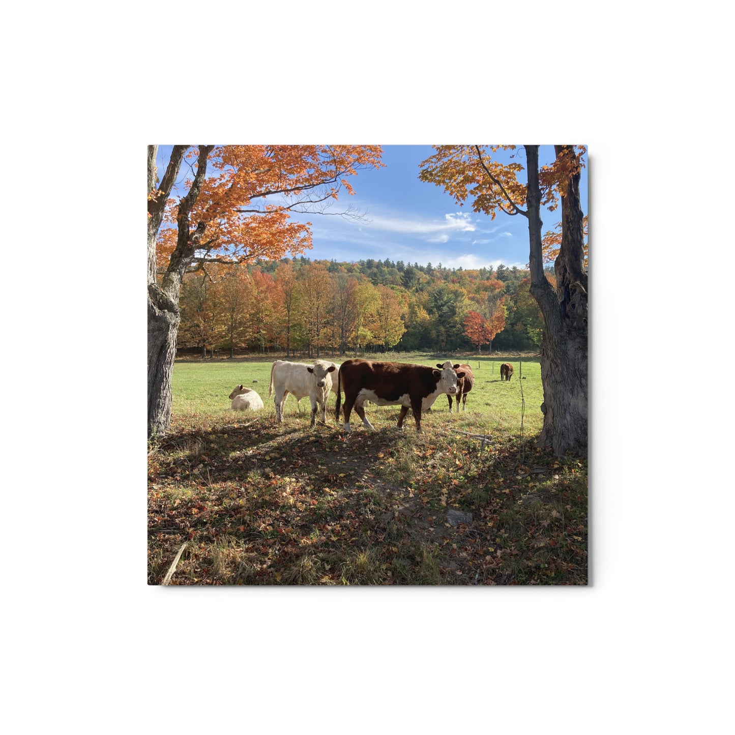 Autumn Day Metal Print