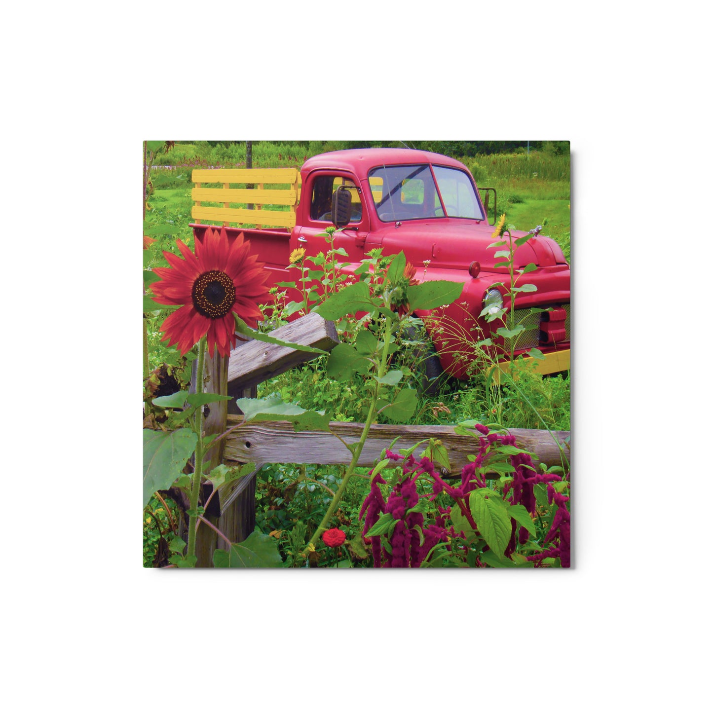 Little Red Truck Metal Print