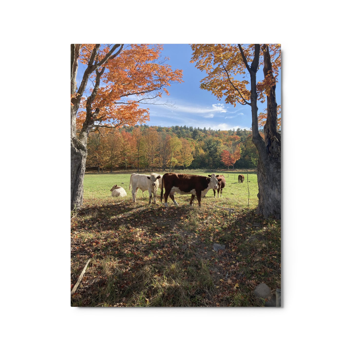 Autumn Day Metal Print