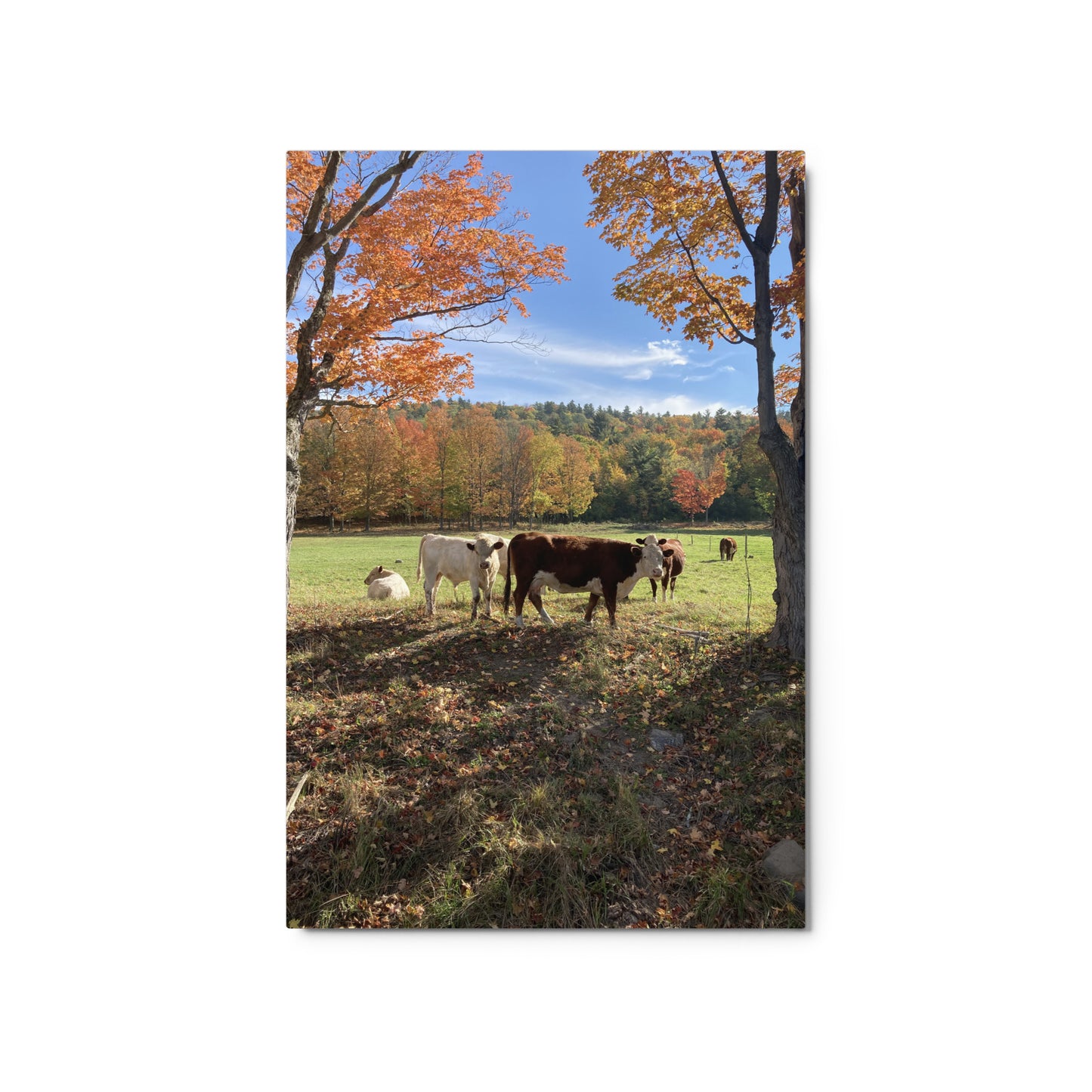 Autumn Day Metal Print