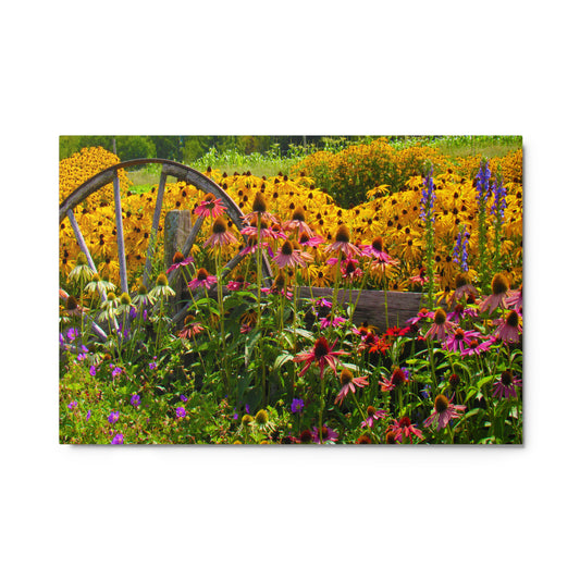 Breath-of-Fresh-Air Metal Print