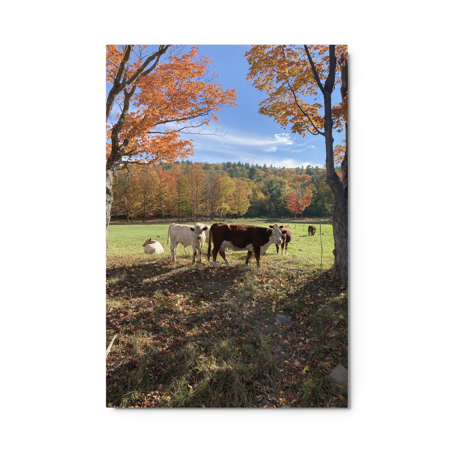 Autumn Day Metal Print