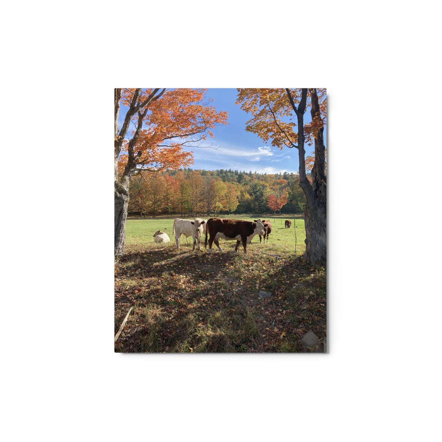 Autumn Day Metal Print